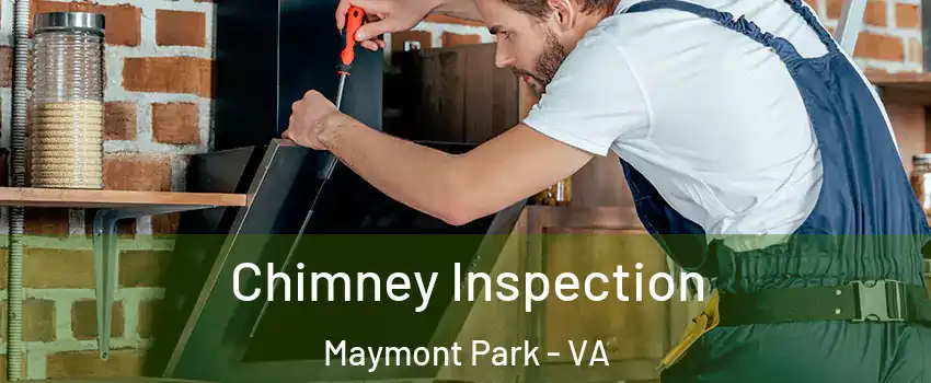 Chimney Inspection Maymont Park - VA