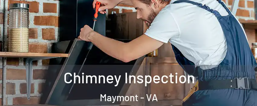 Chimney Inspection Maymont - VA