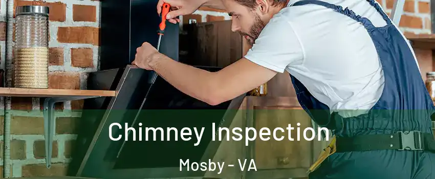 Chimney Inspection Mosby - VA