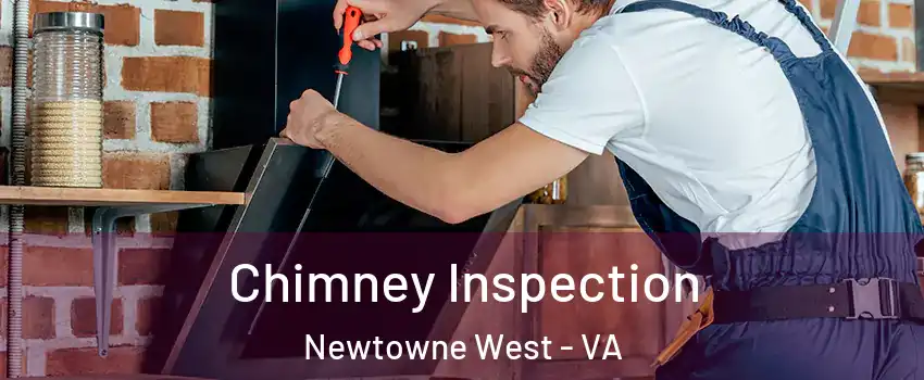 Chimney Inspection Newtowne West - VA
