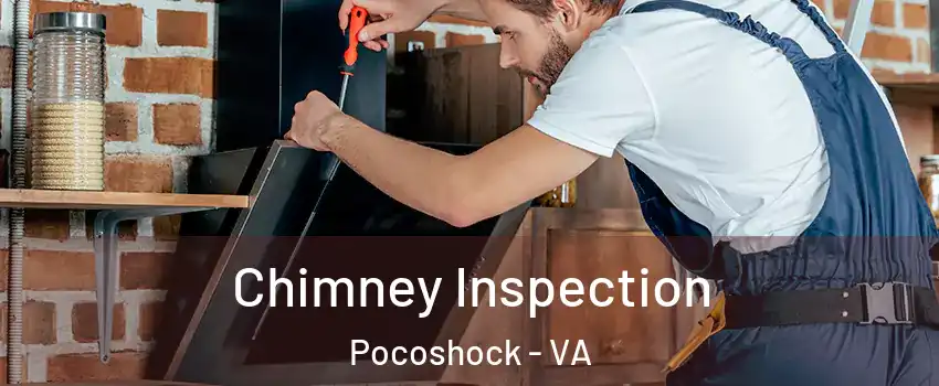 Chimney Inspection Pocoshock - VA