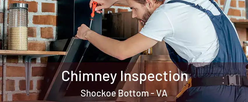 Chimney Inspection Shockoe Bottom - VA