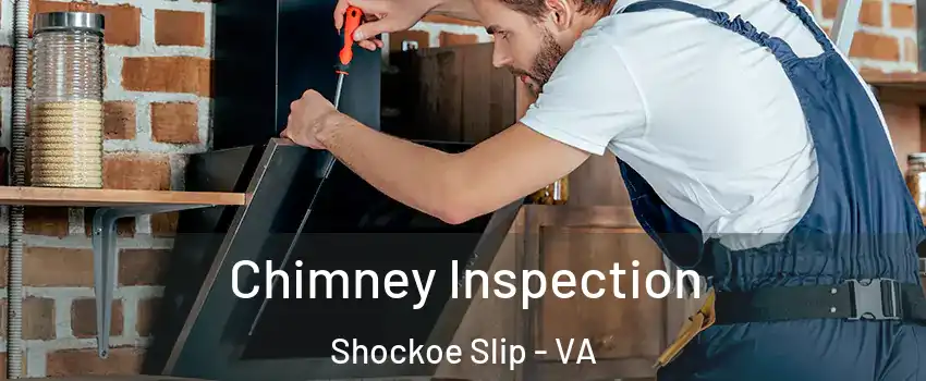 Chimney Inspection Shockoe Slip - VA
