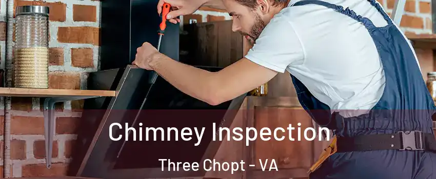 Chimney Inspection Three Chopt - VA