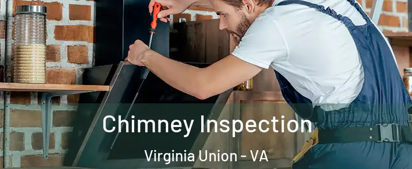 Chimney Inspection Virginia Union - VA