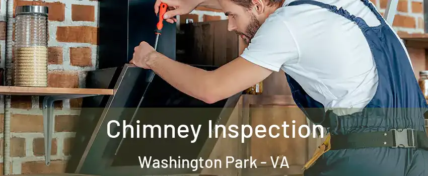 Chimney Inspection Washington Park - VA