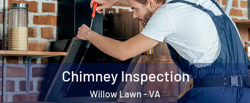 Chimney Inspection Willow Lawn - VA