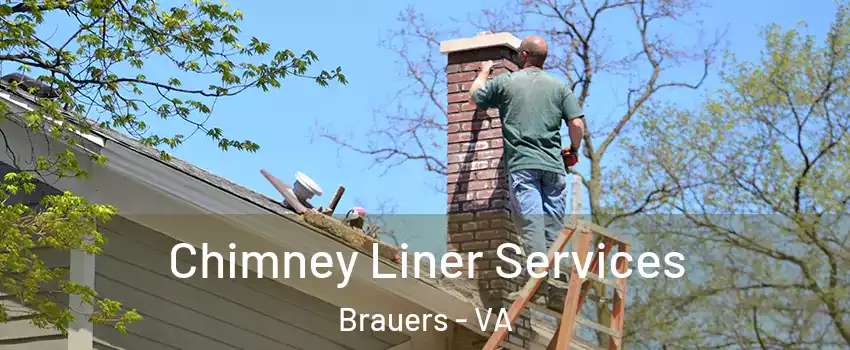 Chimney Liner Services Brauers - VA