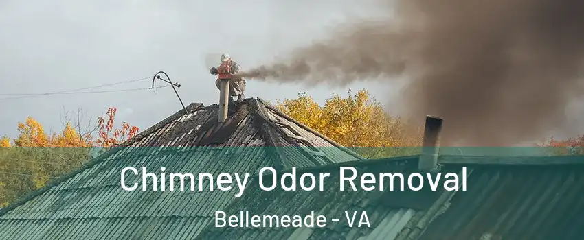 Chimney Odor Removal Bellemeade - VA