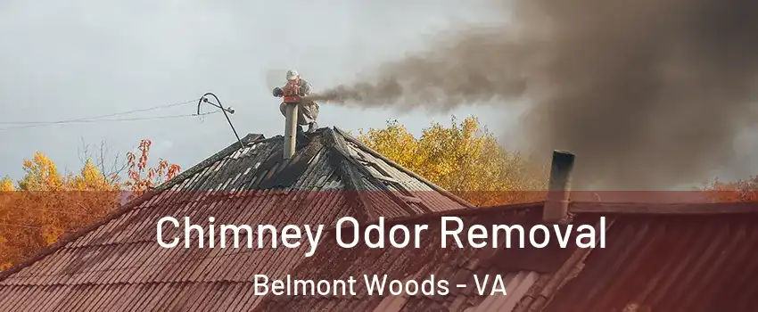 Chimney Odor Removal Belmont Woods - VA
