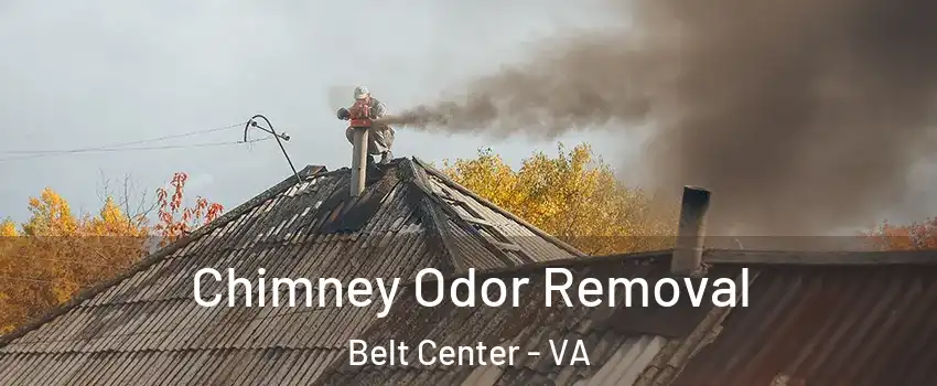 Chimney Odor Removal Belt Center - VA