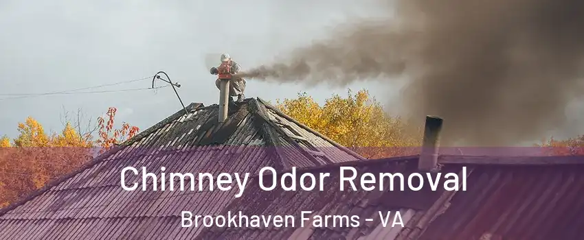 Chimney Odor Removal Brookhaven Farms - VA