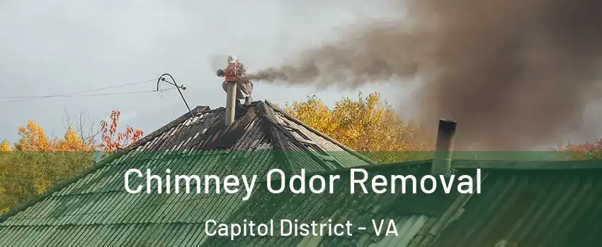 Chimney Odor Removal Capitol District - VA