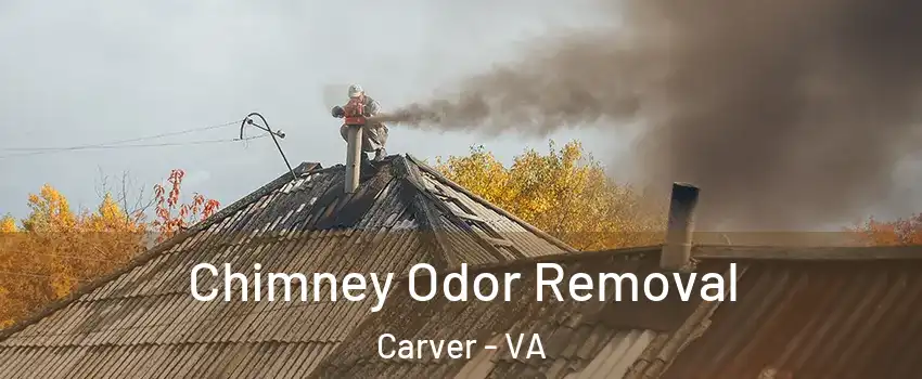 Chimney Odor Removal Carver - VA