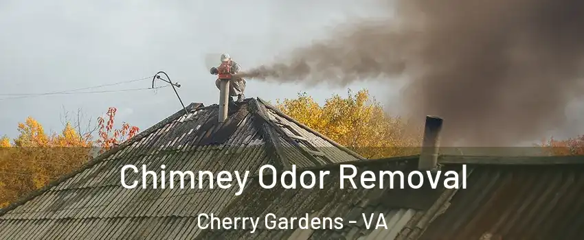 Chimney Odor Removal Cherry Gardens - VA