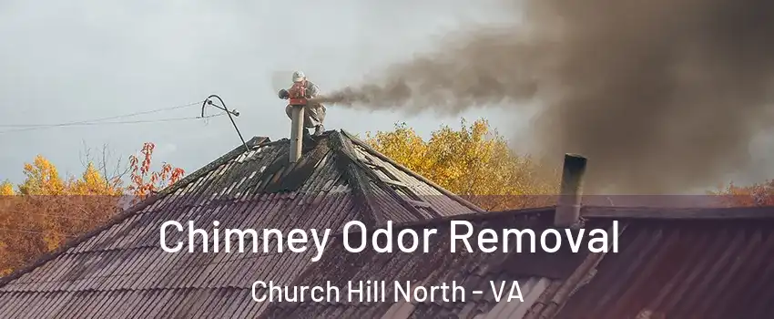 Chimney Odor Removal Church Hill North - VA