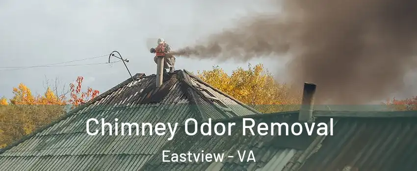 Chimney Odor Removal Eastview - VA