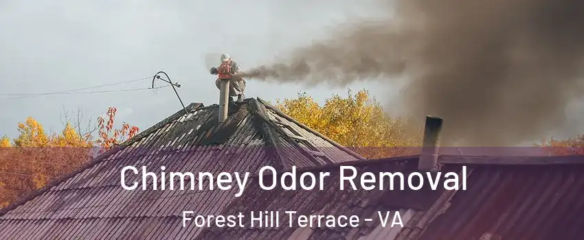 Chimney Odor Removal Forest Hill Terrace - VA