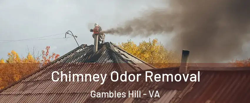 Chimney Odor Removal Gambles Hill - VA