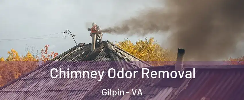 Chimney Odor Removal Gilpin - VA