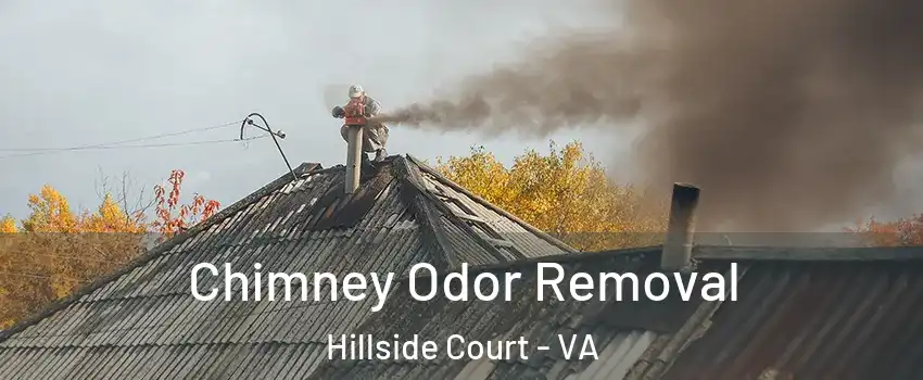 Chimney Odor Removal Hillside Court - VA