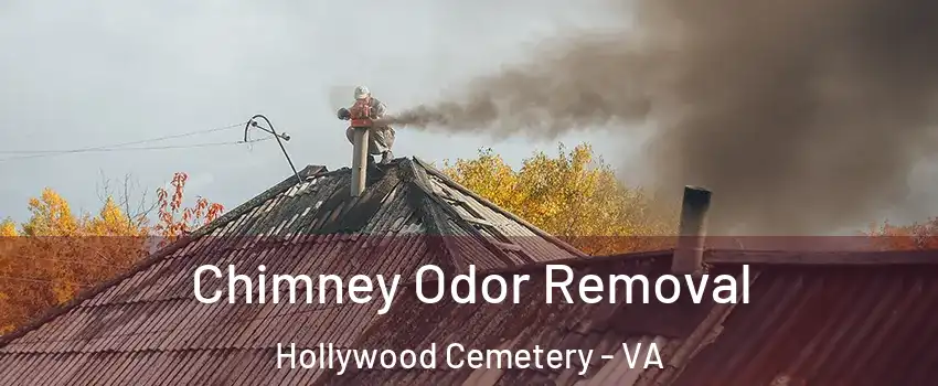 Chimney Odor Removal Hollywood Cemetery - VA