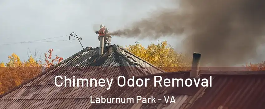 Chimney Odor Removal Laburnum Park - VA