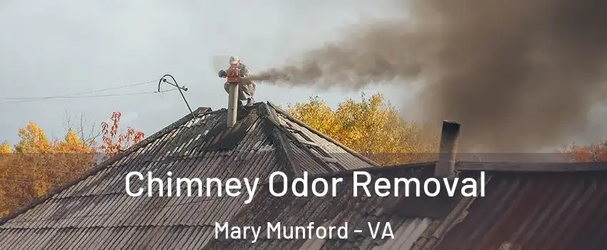 Chimney Odor Removal Mary Munford - VA