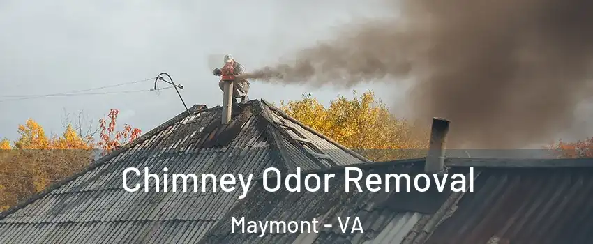 Chimney Odor Removal Maymont - VA