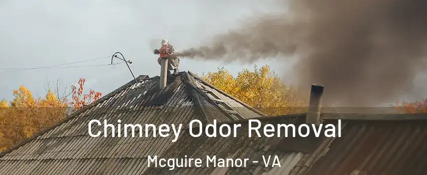 Chimney Odor Removal Mcguire Manor - VA