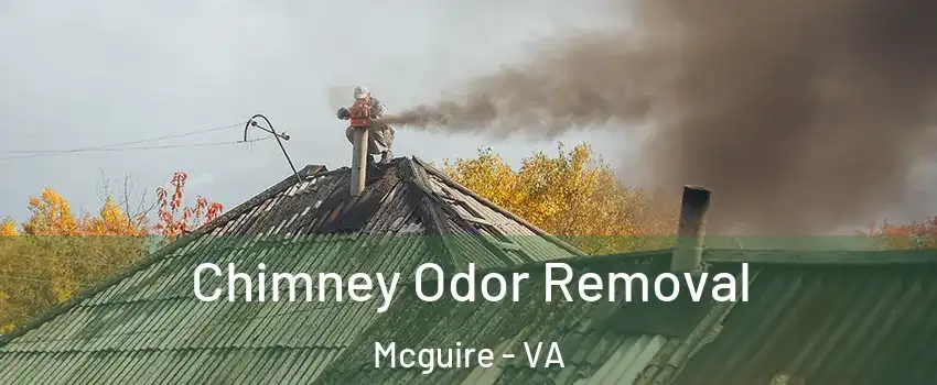 Chimney Odor Removal Mcguire - VA