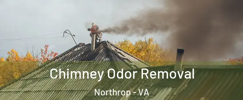 Chimney Odor Removal Northrop - VA