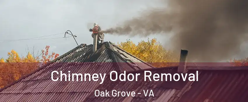 Chimney Odor Removal Oak Grove - VA