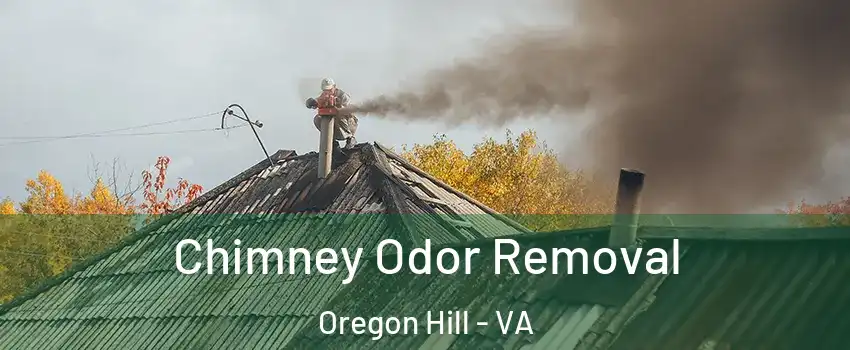 Chimney Odor Removal Oregon Hill - VA