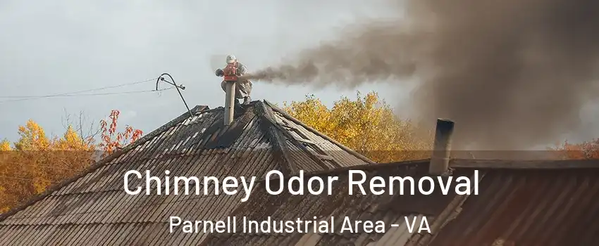 Chimney Odor Removal Parnell Industrial Area - VA