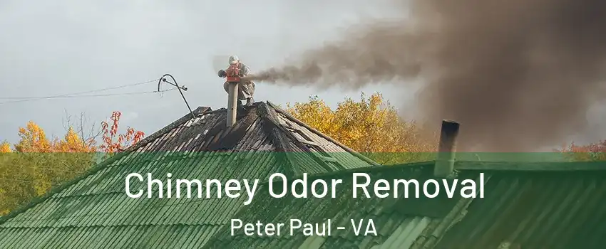 Chimney Odor Removal Peter Paul - VA