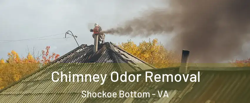 Chimney Odor Removal Shockoe Bottom - VA