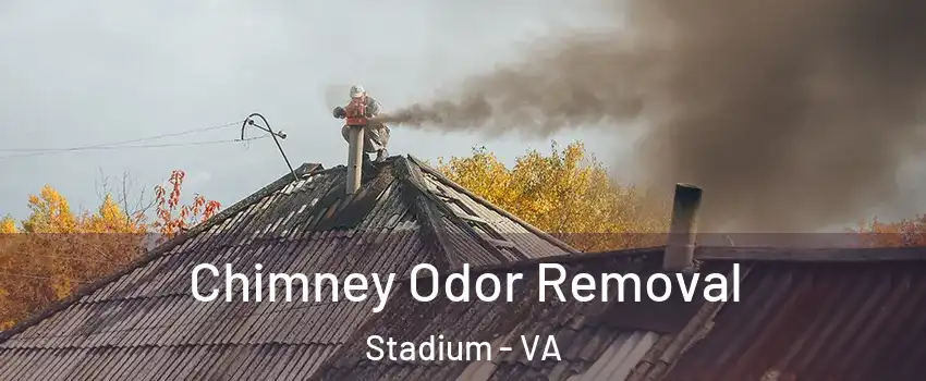 Chimney Odor Removal Stadium - VA
