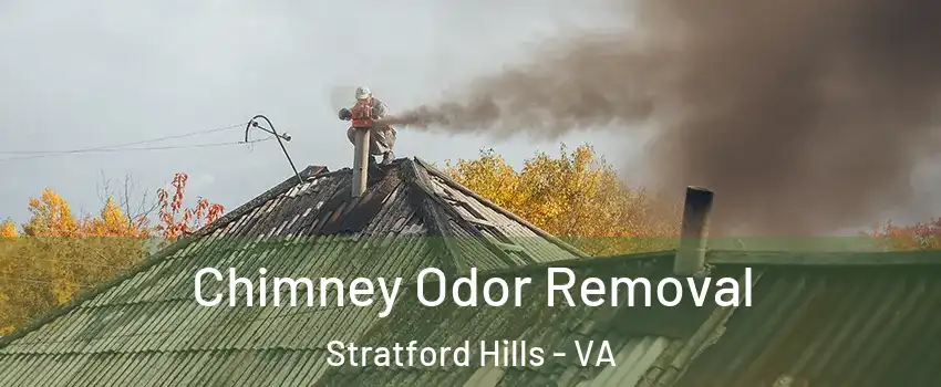 Chimney Odor Removal Stratford Hills - VA