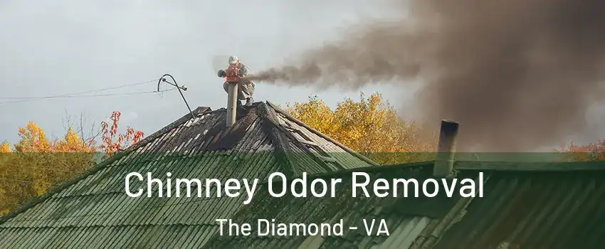 Chimney Odor Removal The Diamond - VA