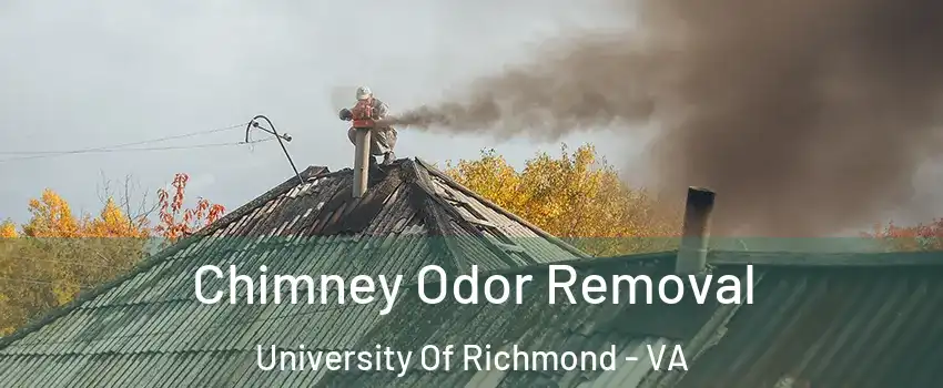Chimney Odor Removal University Of Richmond - VA