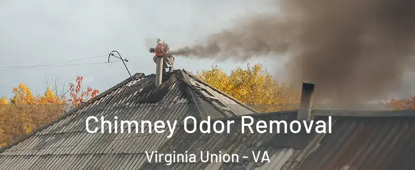 Chimney Odor Removal Virginia Union - VA