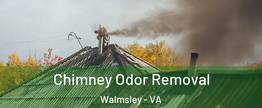 Chimney Odor Removal Walmsley - VA