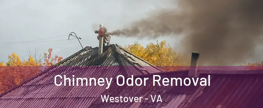 Chimney Odor Removal Westover - VA