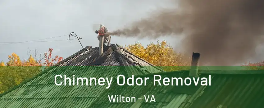 Chimney Odor Removal Wilton - VA
