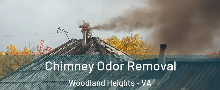 Chimney Odor Removal Woodland Heights - VA