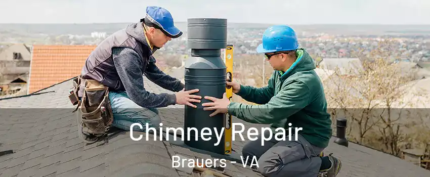 Chimney Repair Brauers - VA