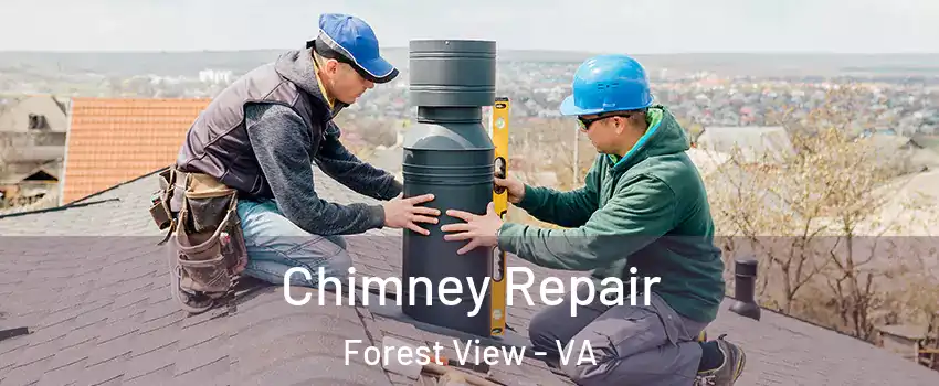 Chimney Repair Forest View - VA
