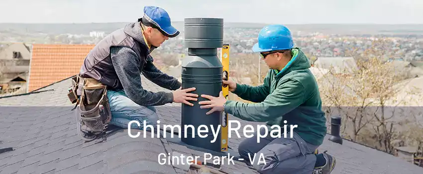 Chimney Repair Ginter Park - VA