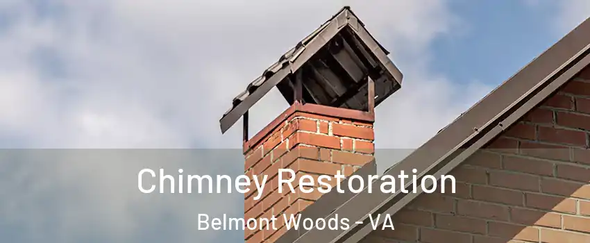 Chimney Restoration Belmont Woods - VA